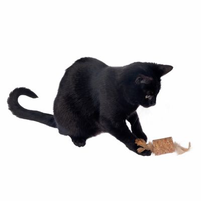 TIAKI Katzenspielzeug Feder-Korken mit Katzenminze