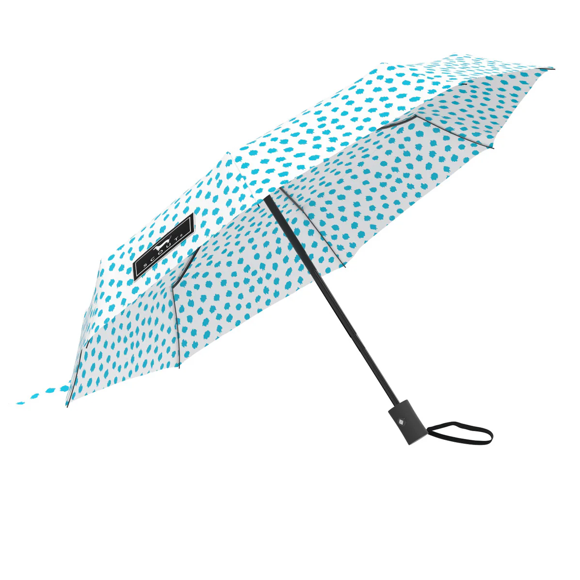 Umbrella High and Dry