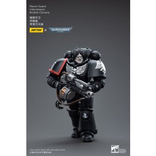 Warhammer 40k Actionfigur: Raven Guard Intercessors - Brother Colvane