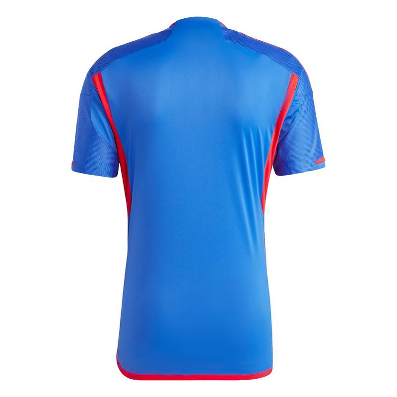 adidas Olympique Lyon 23/24 Auswärtstrikot Trikot Herren