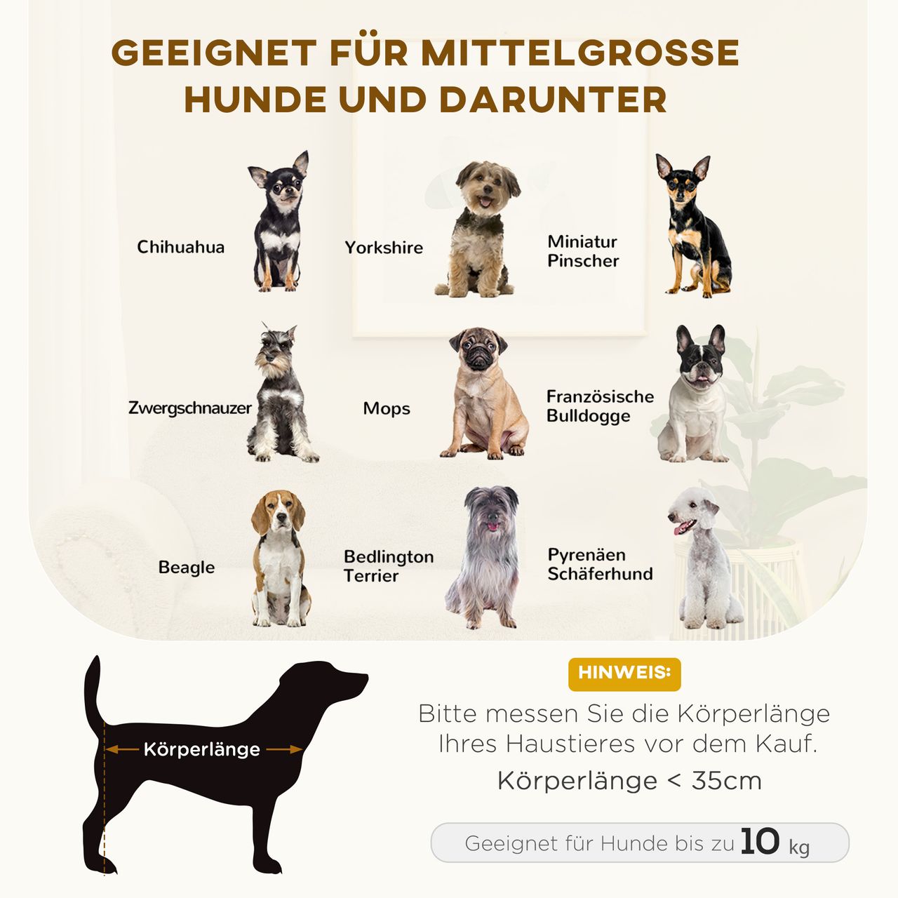 PawHut Hundesofa, Haustiersofa mit Stauraum, Hundebett in Samtoptik, Beige
