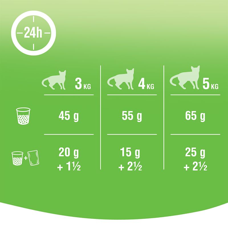 Kitekat Adult Huhn & Gemüse zu TOP-Preisen