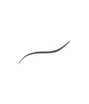 IsaDora Flex Tip Eyeliner Eyeliner-1 ml