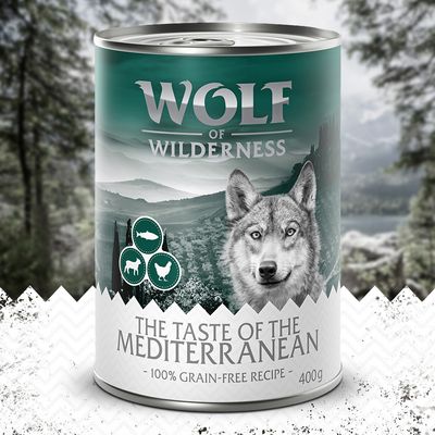 Wolf of Wilderness 