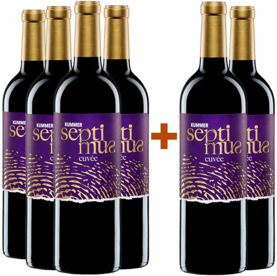 4+2 Cuvée SEPTIMUS Paket trocken - Kummer Mönchhof