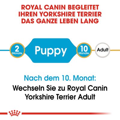 Royal Canin Yorkshire Terrier Puppy
