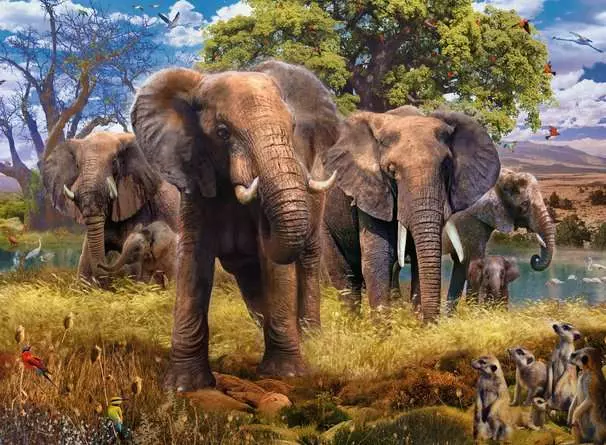 Puzzle 500 Teile - Elefantenfamilie