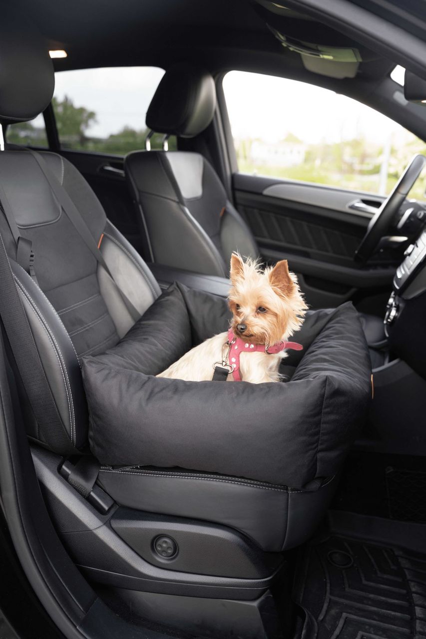 Animood Hundeautositz Julian schwarz S