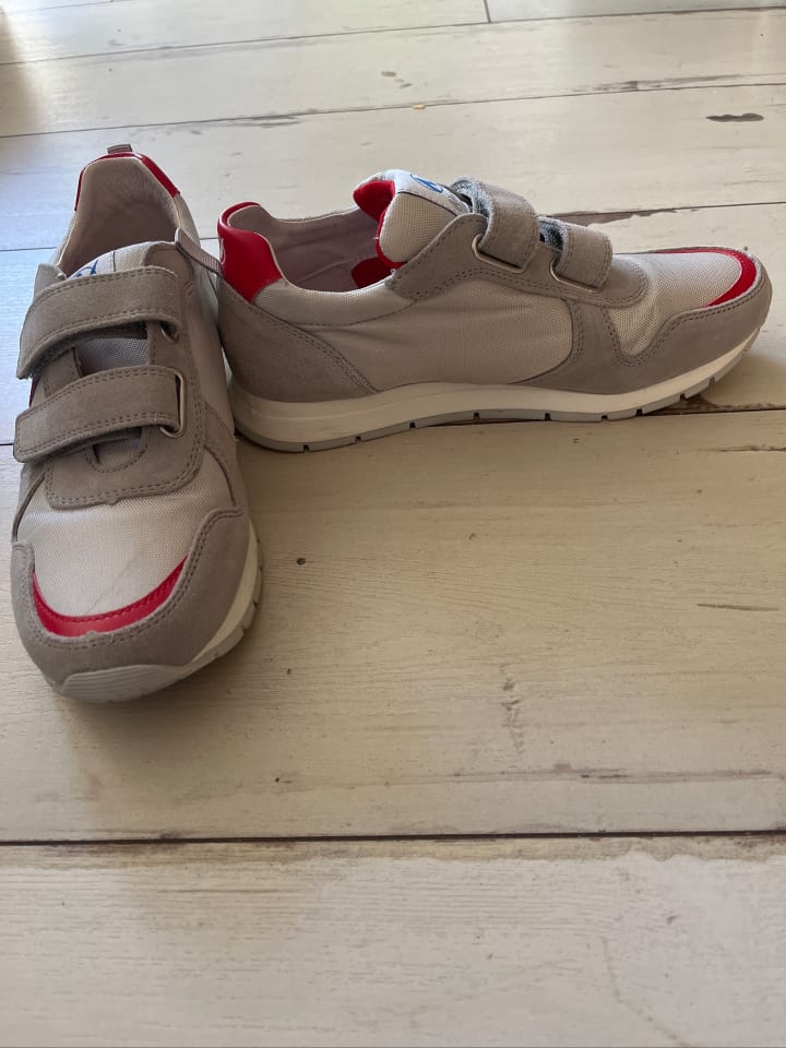 Naturino Leder-Sneakers in Grau günstig kaufen 37