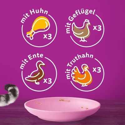 Multipack Whiskas Junior Frischebeutel 12 x 85 g