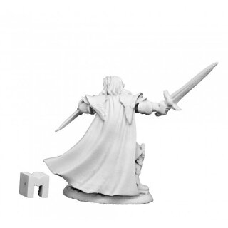 Anduriel Elf Paladin