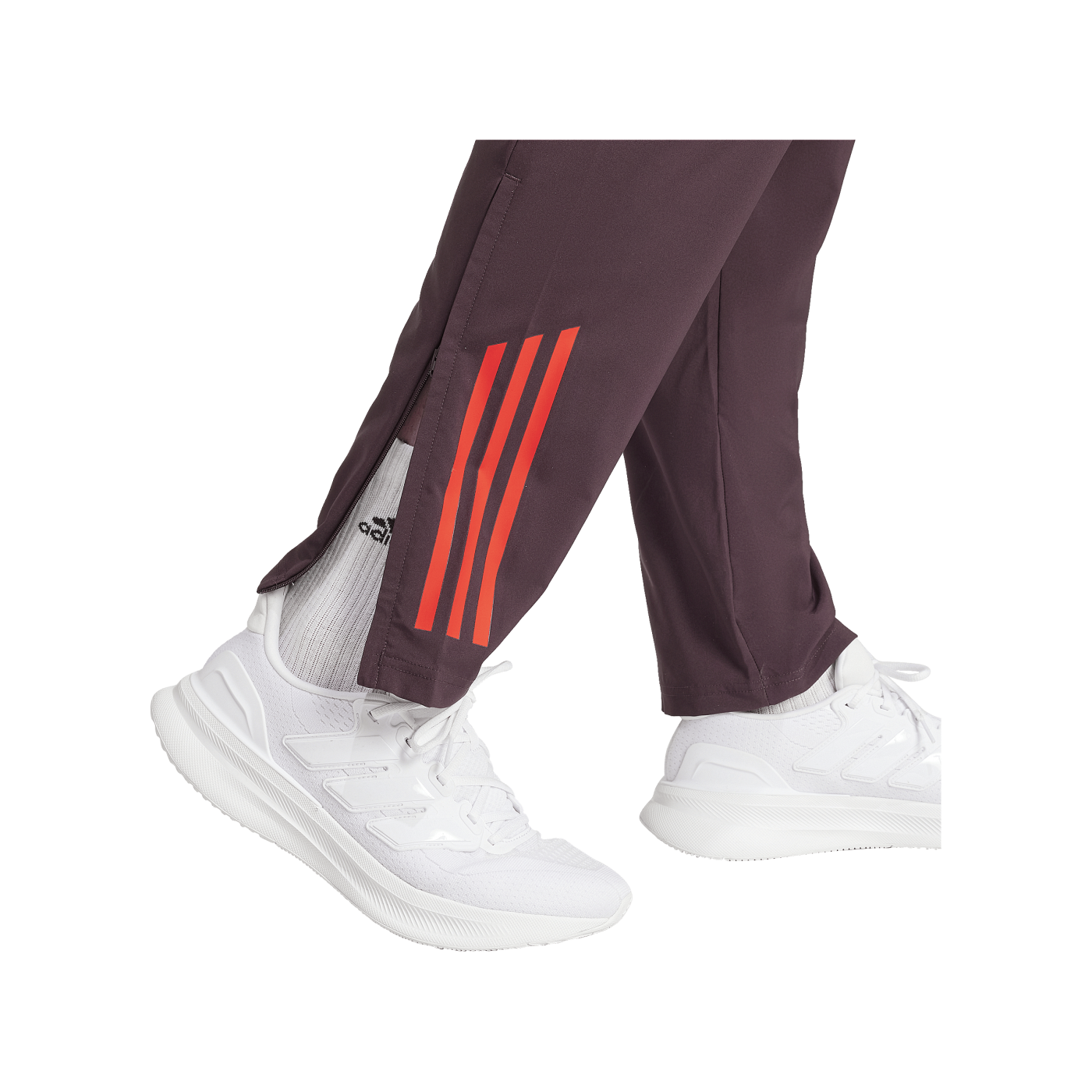 adidas FC Bayern München Prematch Hose 2024/2025 Rot