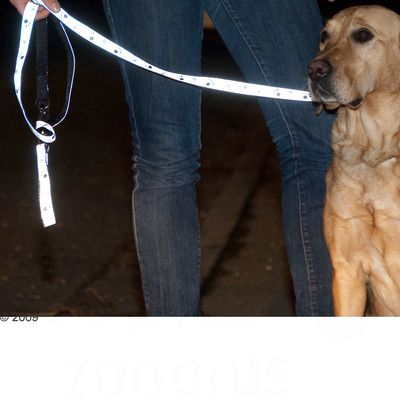 Trixie Hundeleine Pfoten Silver Reflect
