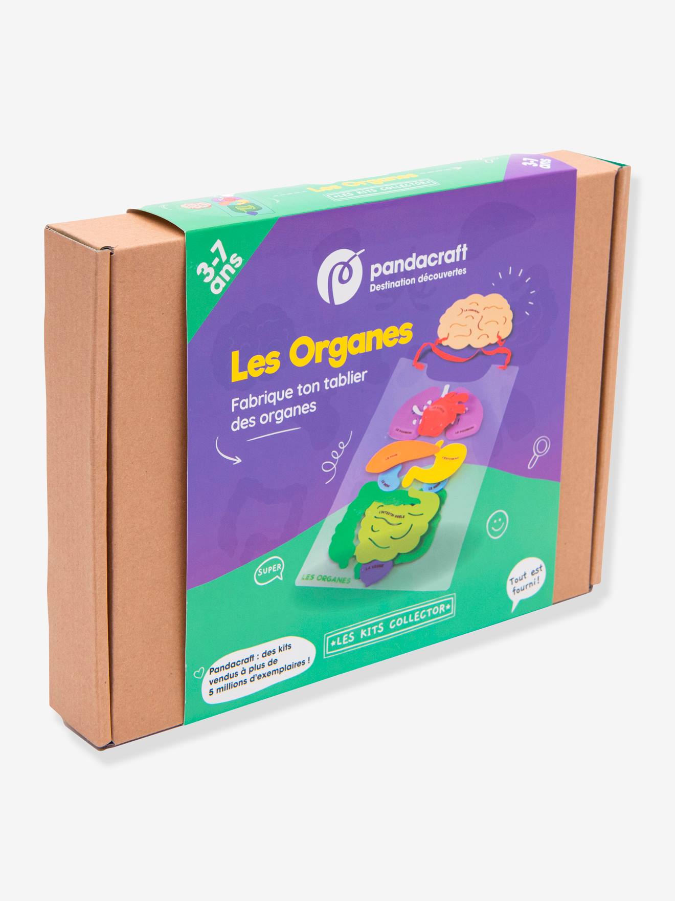 Kit Collector Les organes du corps 3/7 ans PANDACRAFT violet