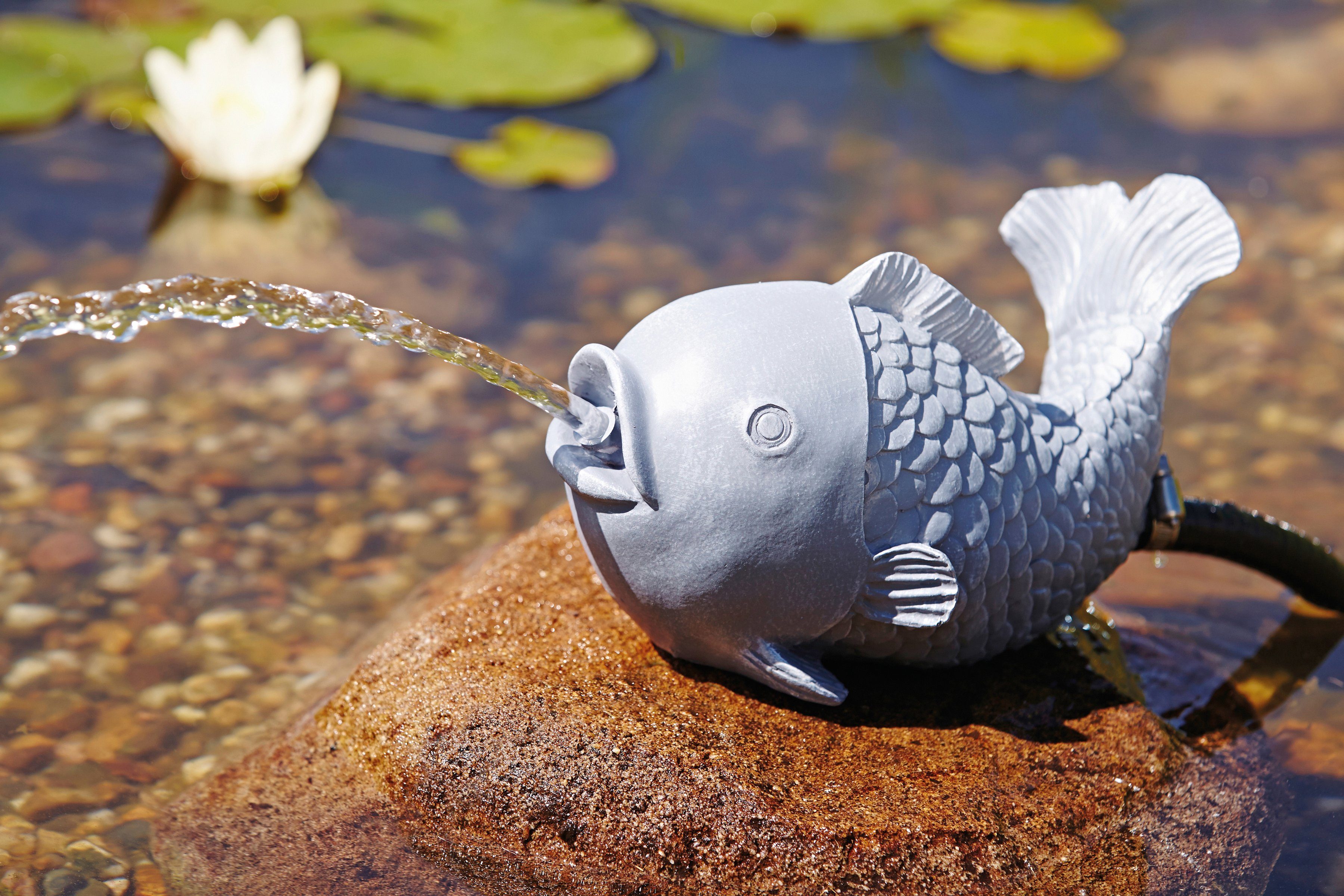 OASE Wasserspeier Fisch