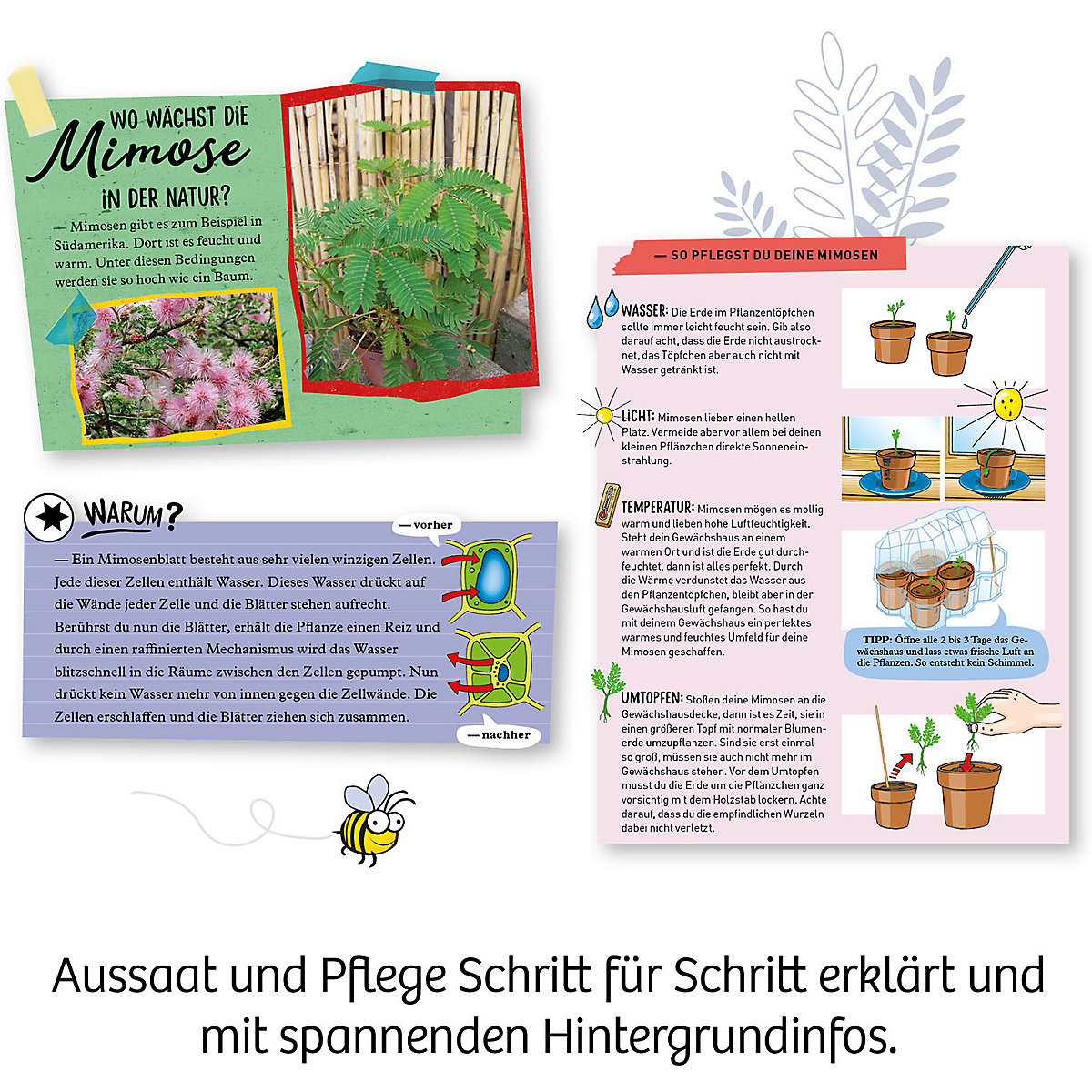 Mitbringexperiment Mimosen-Garten - Alarm auf deiner Fensterbank