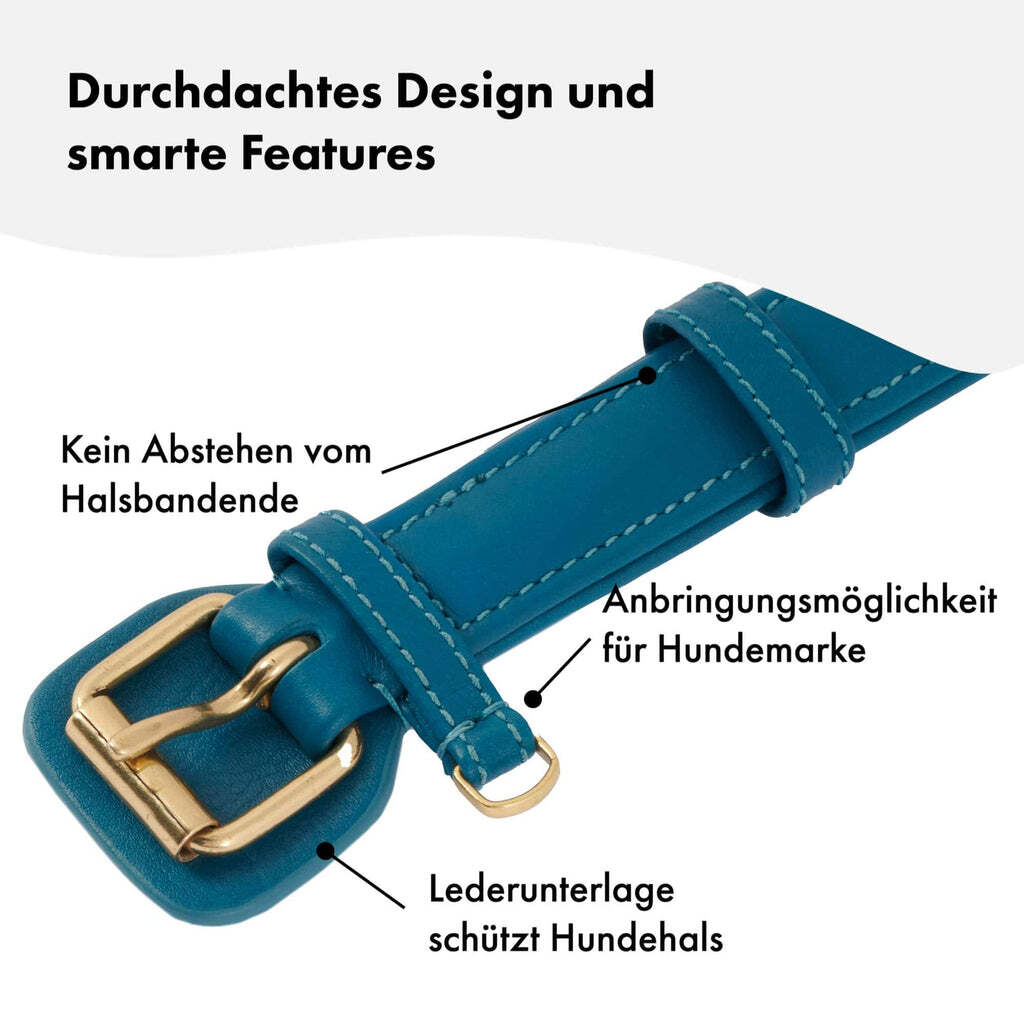 William Walker Hundehalsbänder William Walker Hundehalsband Plain Azure XS