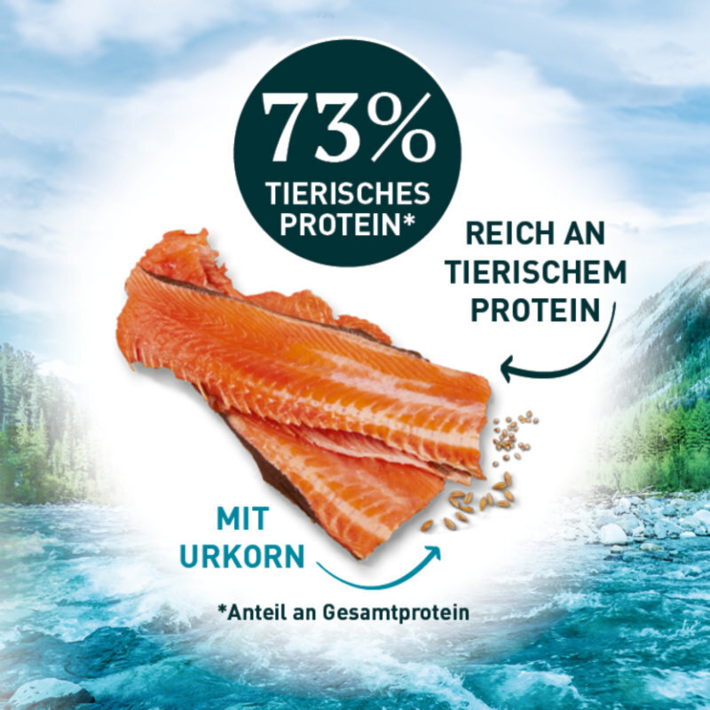 Purina ONE Trockenfutter Purina ONE Wild Sense Reich an Lachs 400 g