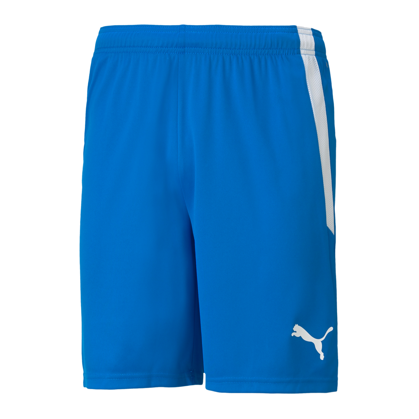 PUMA teamLIGA Short Blau F02