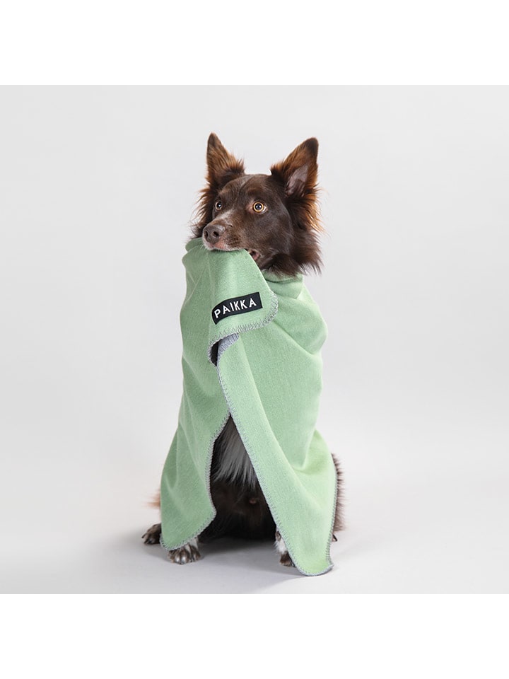 Paikka Recovery-Hundedecke in Grün günstig kaufen 70x100 cm