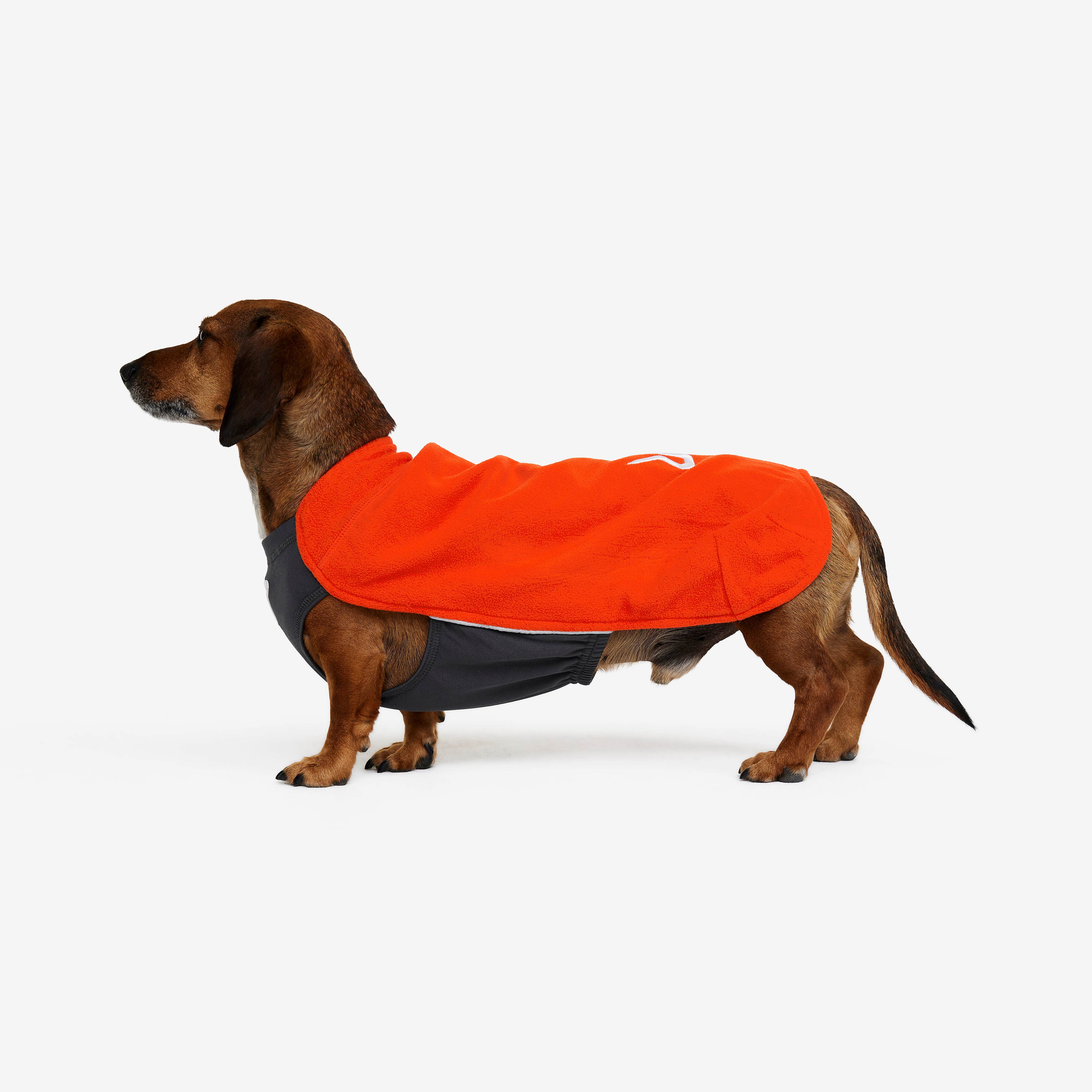 Trekker Fleece Chien Lava