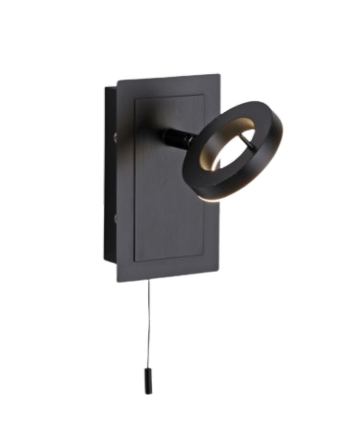 Paul Neuhaus 1-flg LED Wandleuchte Sileda Anthrazit