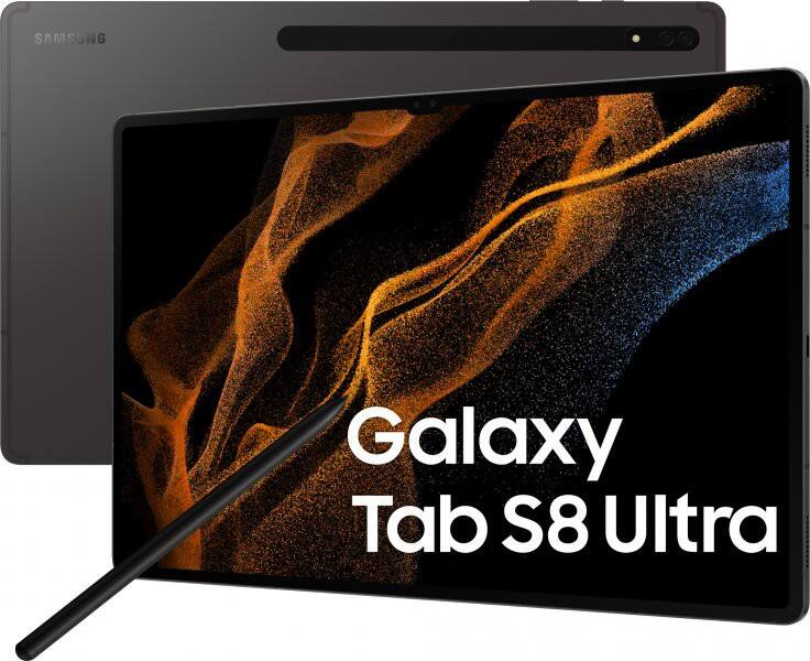 Samsung Tablet S8 Ultra 2960 x 1848 pixel Graphit