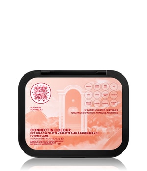 MAC Connect In Colour Eyeshadow Palette x12 Lidschatten Palette-12.2 g