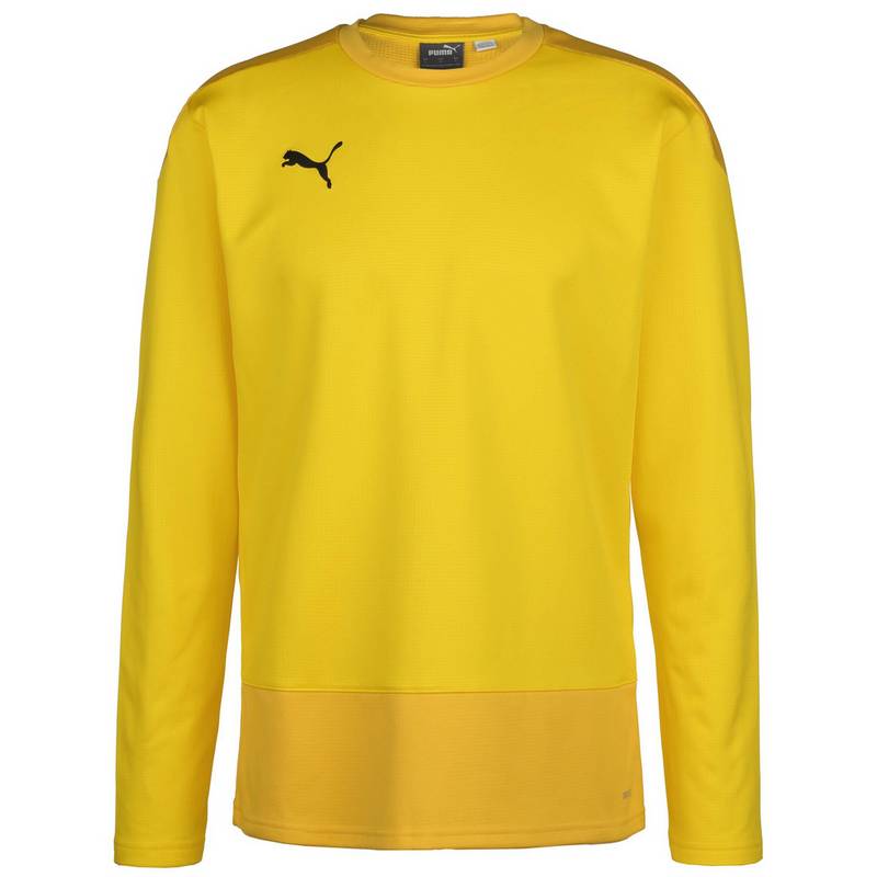 PUMA TeamGOAL 23 Funktionssweatshirt Herren