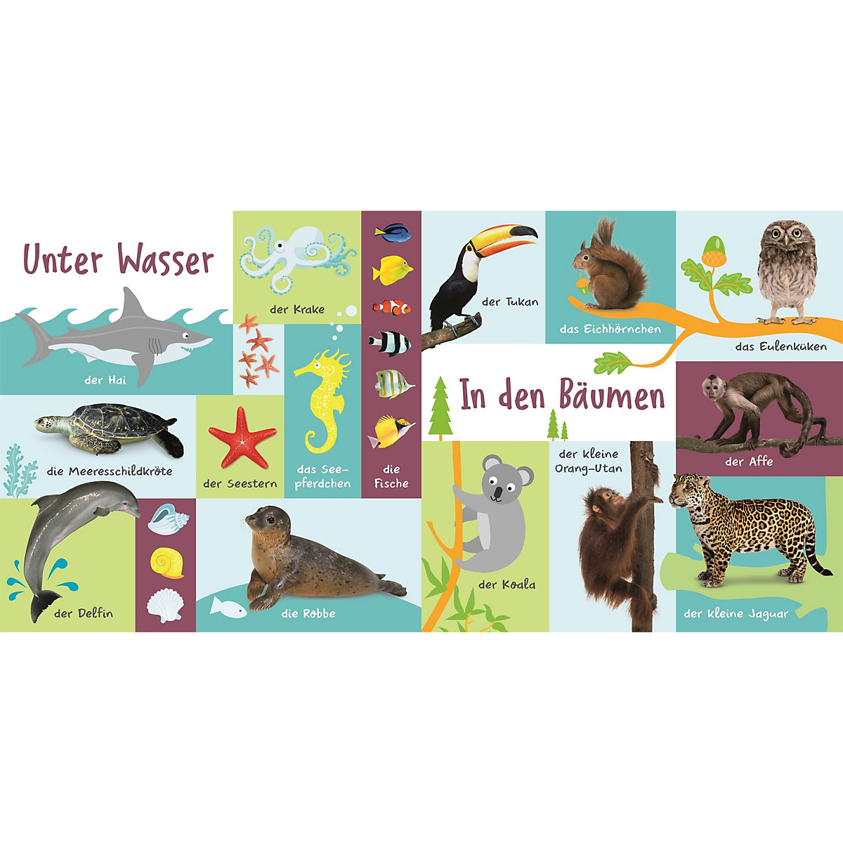 100 erste Tiere