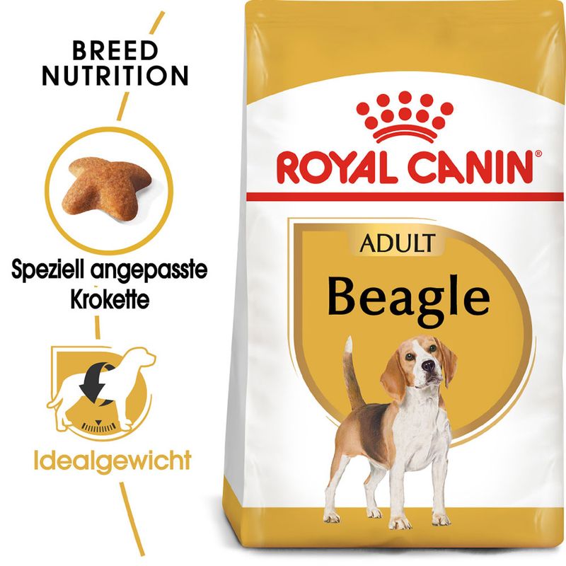 Royal Canin Beagle Adult zu TOP-Preisen