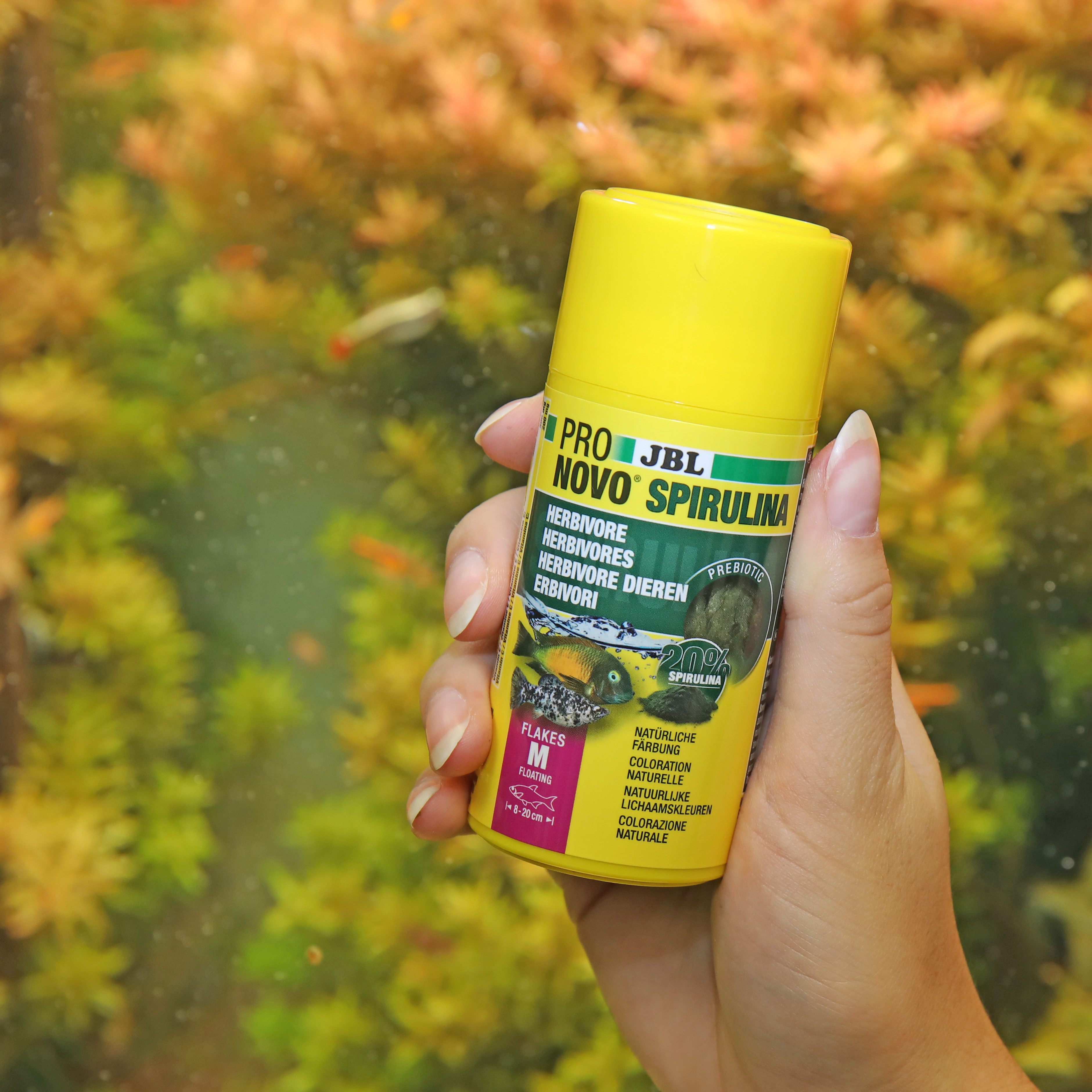 JBL Hauptfutter JBL PRONOVO Spirulina Flakes M 100ml