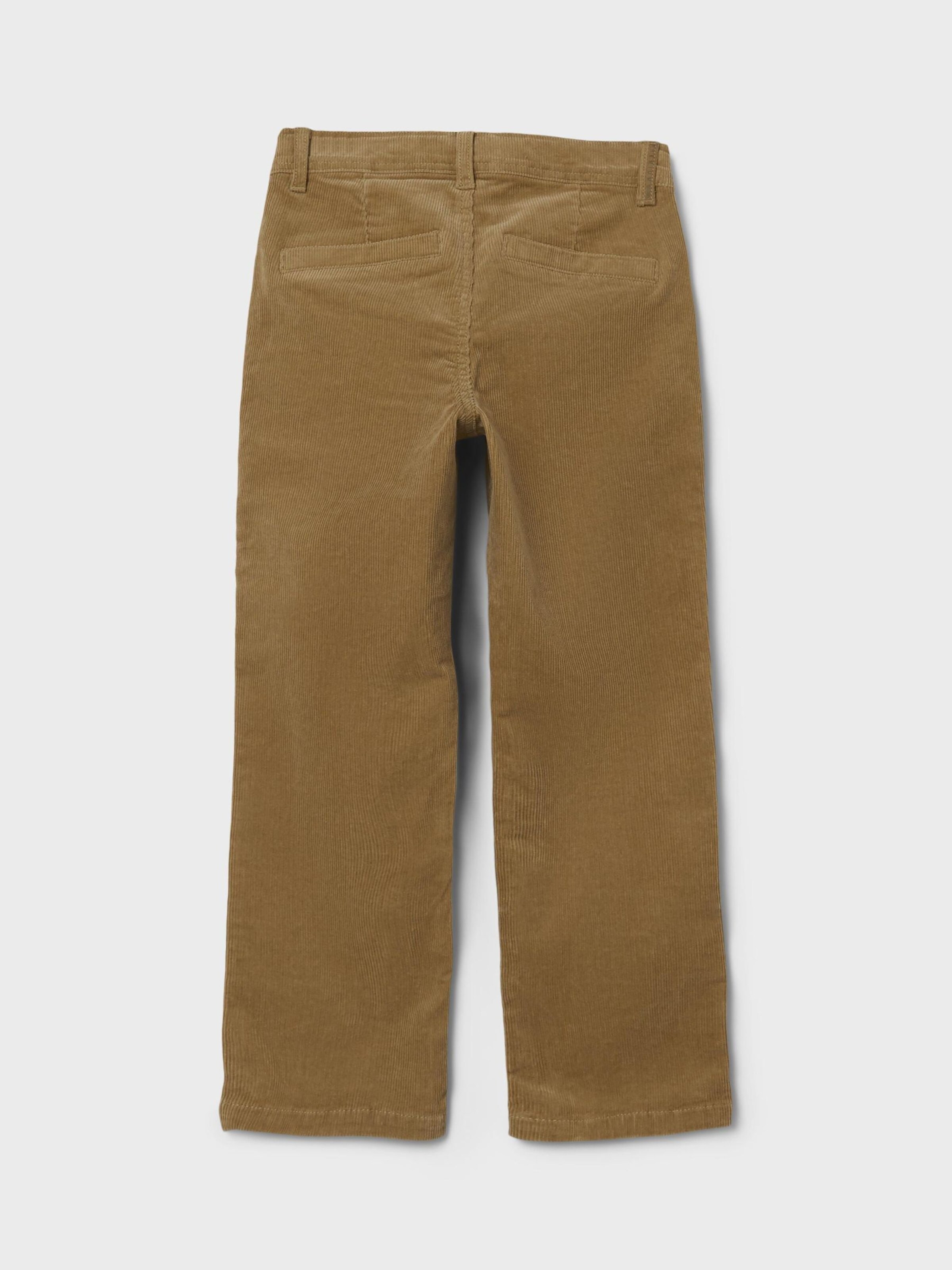 Regular Pants