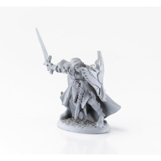 Anduriel Elf Paladin