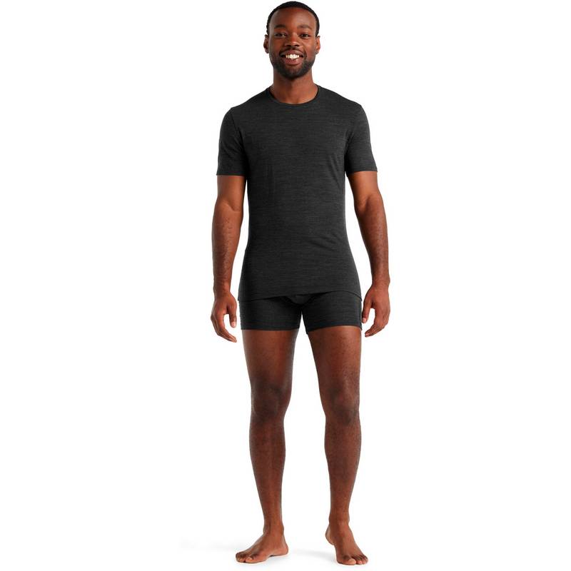 Icebreaker Anatomica Funktionsshirt Herren