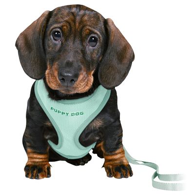 Trixie Junior Welpen-Softgeschirr mit Leine