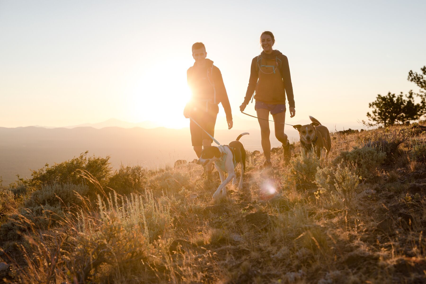 Ruffwear Hundeleinen Ruffwear Front Range™ Leine blau/ türkis