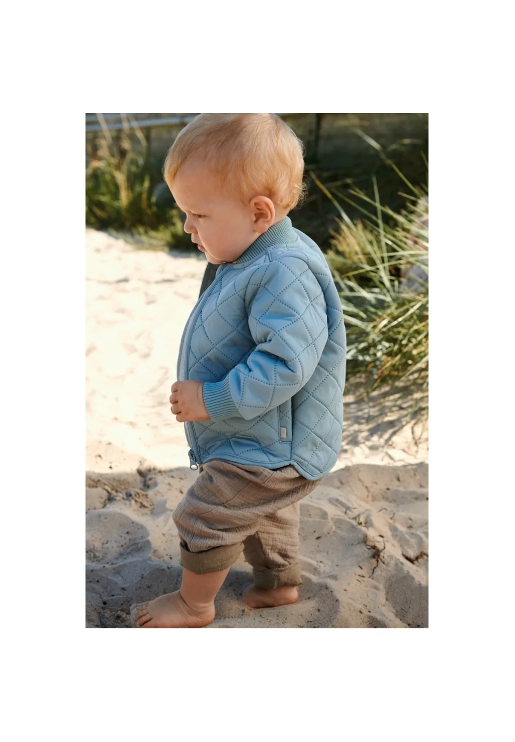 Chaqueta bomber Wheat THERMO LOUI