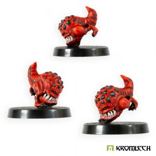 Baby Gnaws (2)