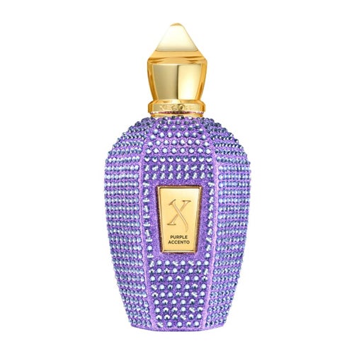 Xerjoff V Purple Accent Eau de Parfum 100 ml
