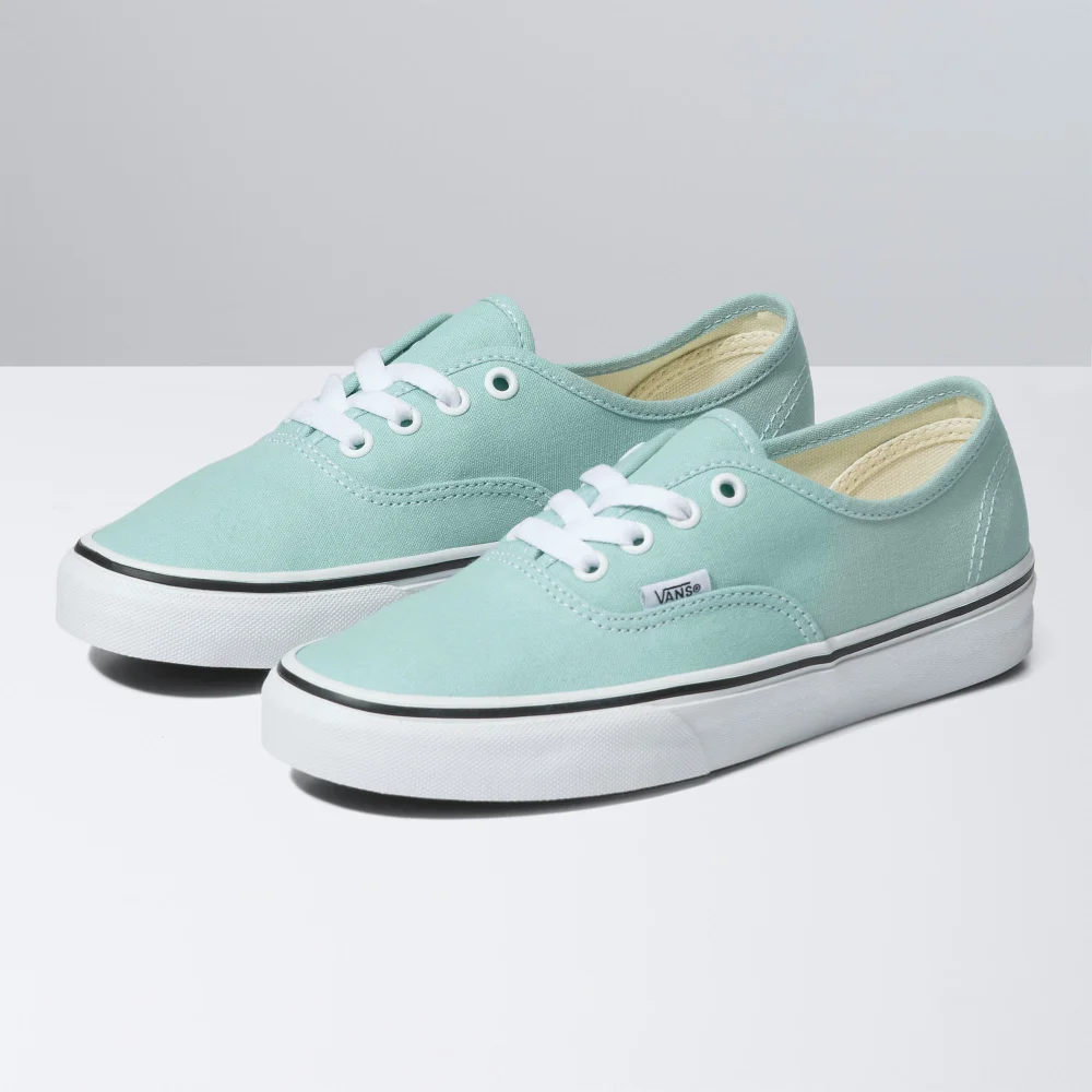 Vans Authentic VN0A5KS9H7O1 / blau