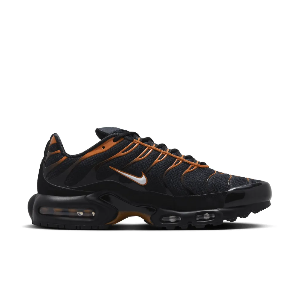 Nike Air Max Plus FN6949-400 / blau