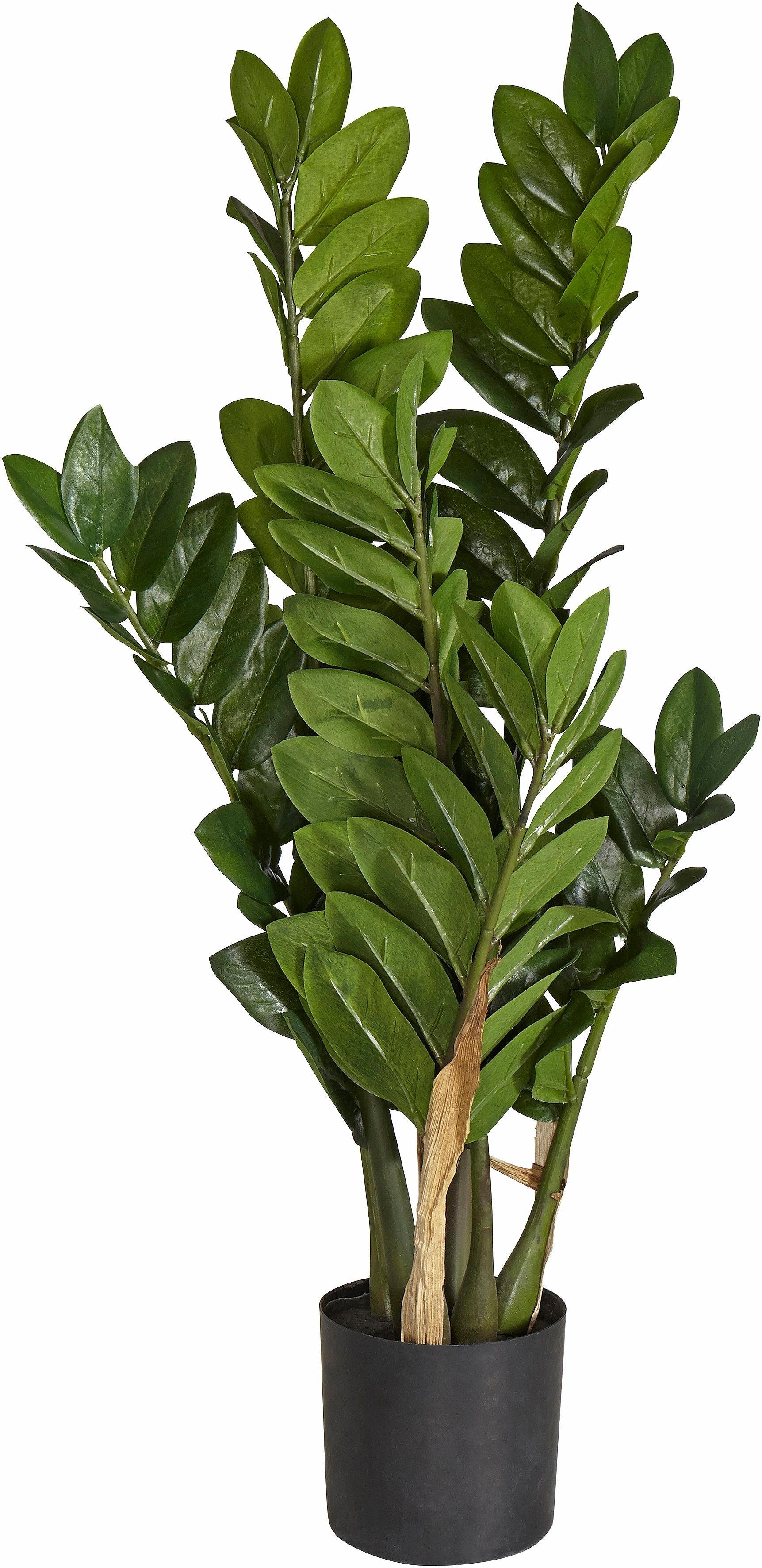 Kunstpflanze Zamifolia, Creativ green, Höhe 70 cm