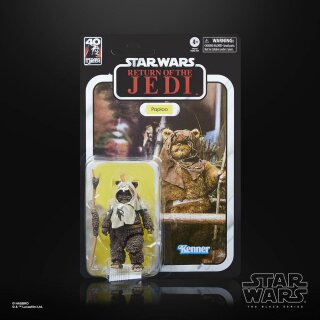 Star Wars Episode VI 40th Anniversary Black Series Actionfigur: Paploo