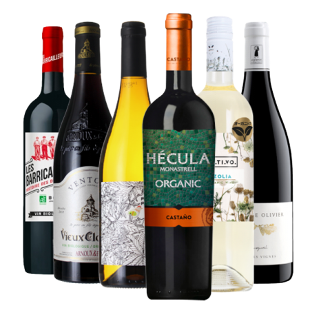PACK 100% BIO - CARTON 6 BOUTEILLES