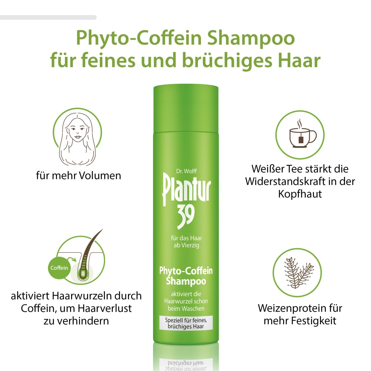 Shampoo Phyto-Coffein Feines Haar, 250 ml