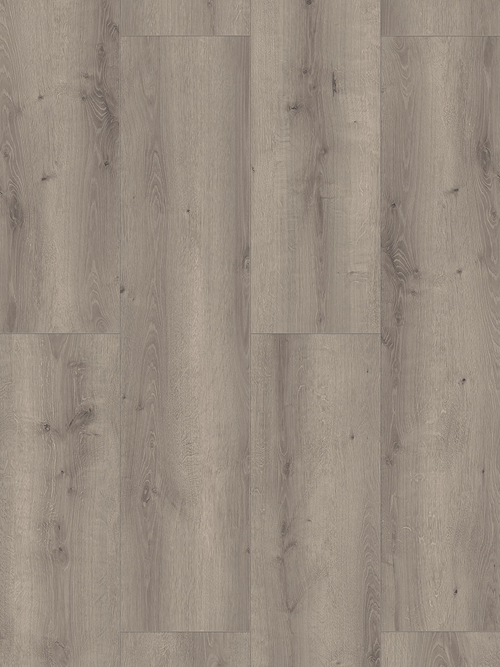 Natura XXL Klick-Laminat, Bright Grey Oak 62266
