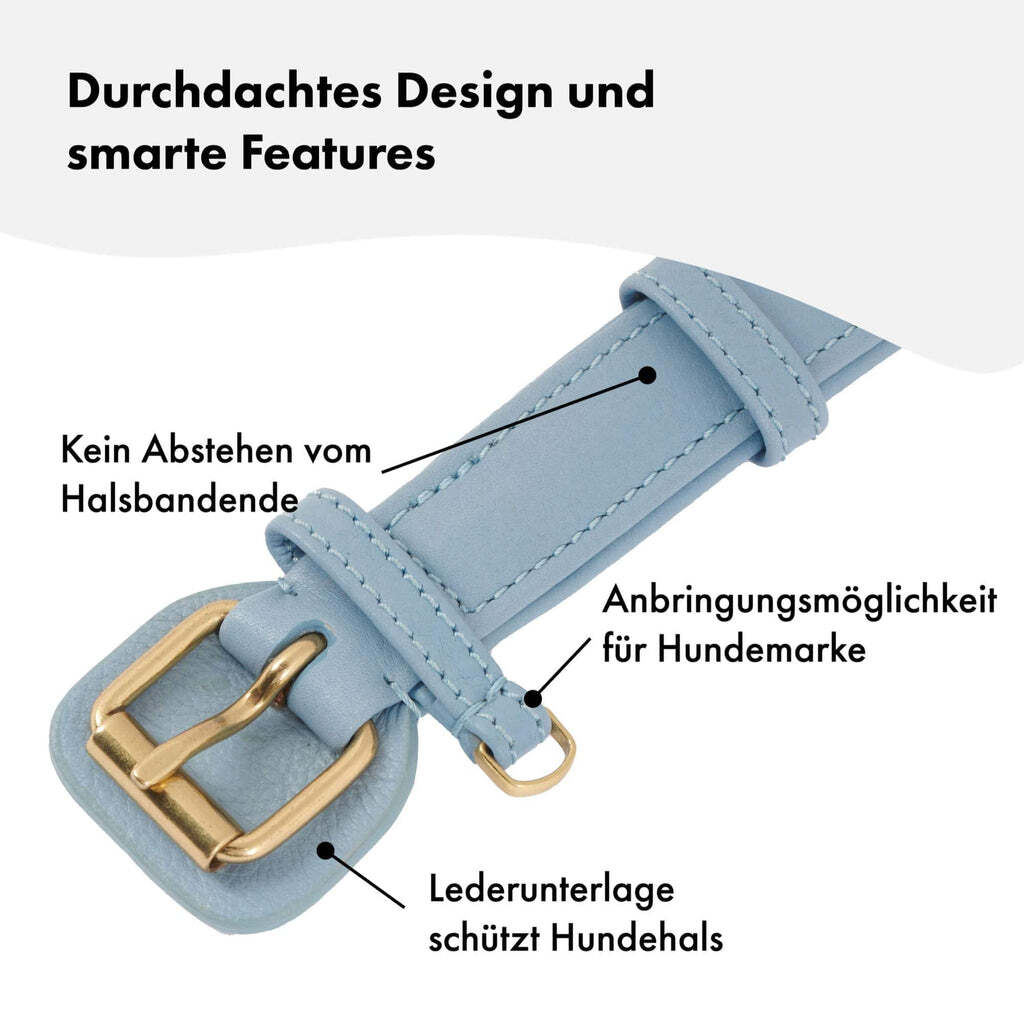 William Walker Hundehalsbänder William Walker Hundehalsband Plain Sky XXL