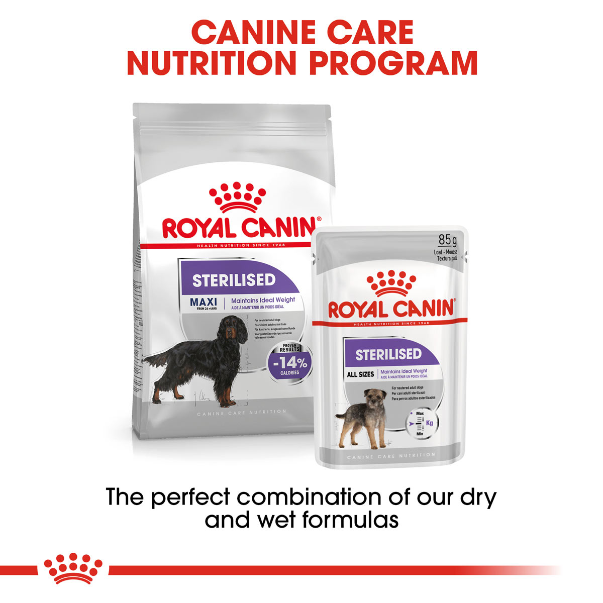 ROYAL CANIN STERILISED MAXI Trockenfutter für kastrierte große Hunde