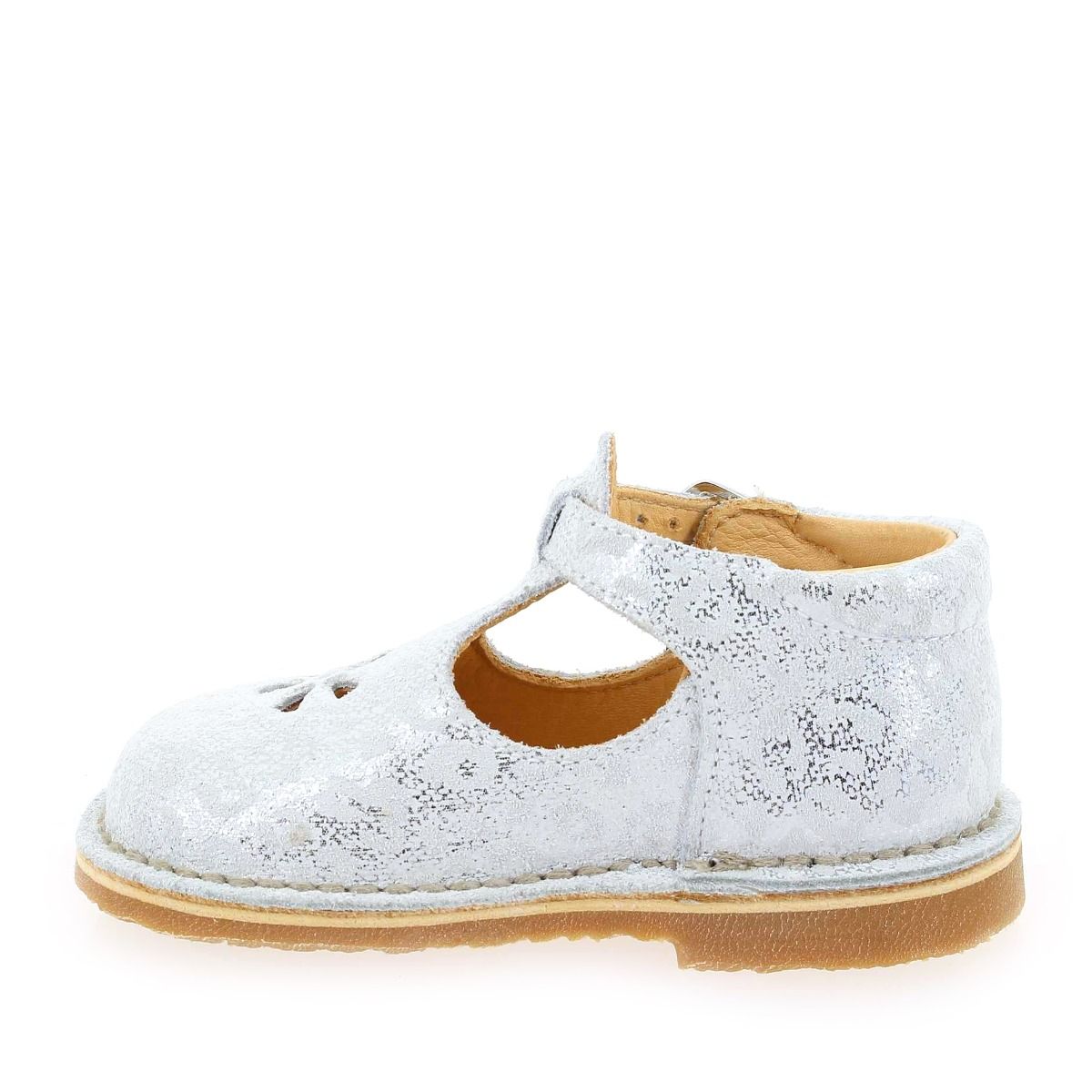 Aster  BIMBO 2 - Blanc
